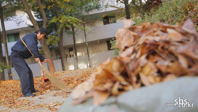 SBS [�װ��� �˰� �ʹ�] ���԰� ����